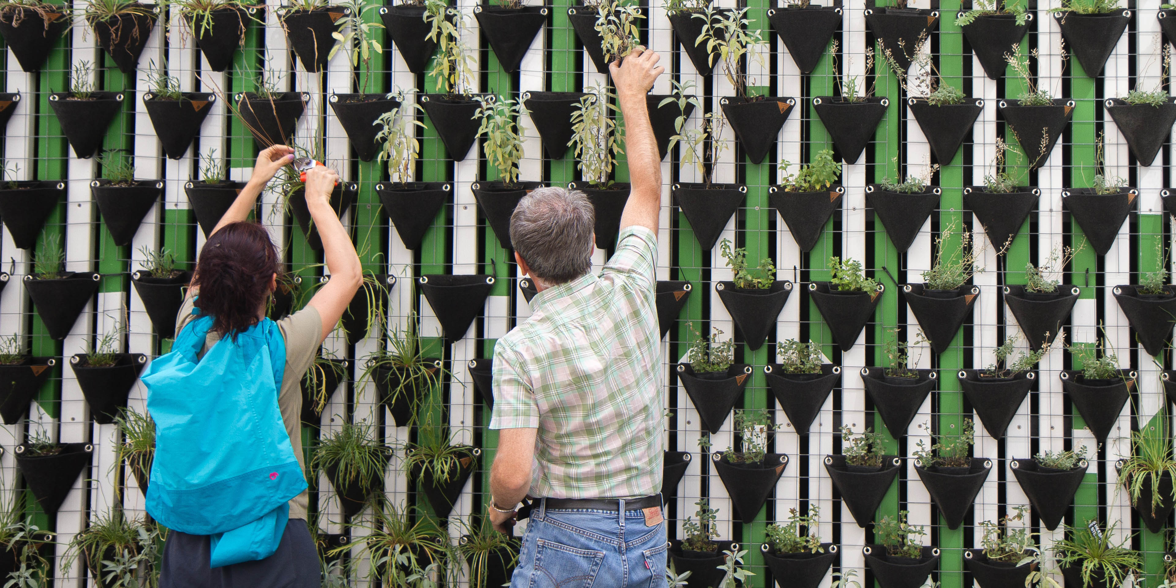 People tending to a vertical garden.